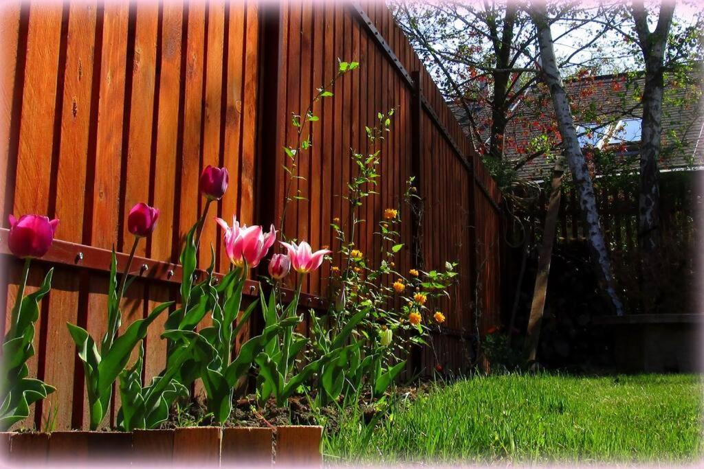 Family House By The Sziget Festival * Budapest